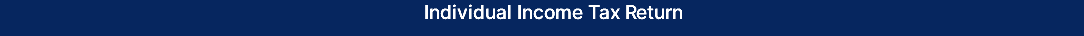 Individual Income Tax Return
