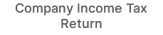 Company Income Tax Return
